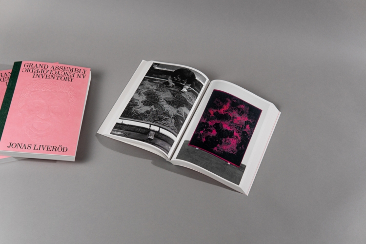 3Jonas-Liverod-book-45310.jpg 