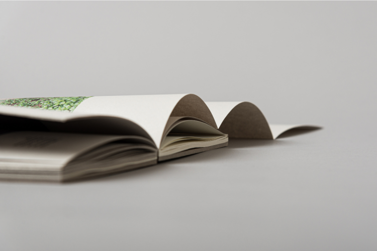 Essay on the Concave City Corner open sipne book printed by KOPA printing