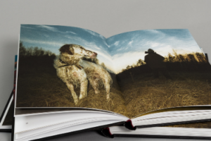 Wanderings hardcover photography book printed by KOPA printing